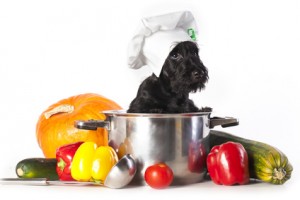 Getreidefreies Hundefutter